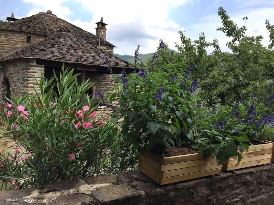 Maison Rurale Au Coeur Des Cevennes Ardechoises Dompnac 外观 照片